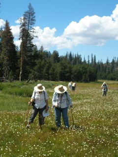 Rare plant treasure hunters at Osa Meadows