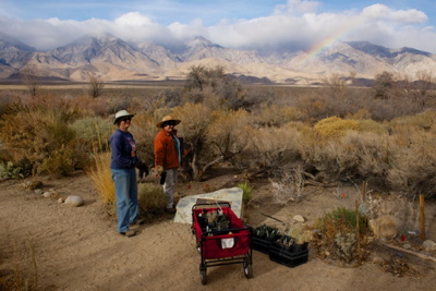 Fall Garden Clean-up in November 2014, Photo by Stephen Ingram