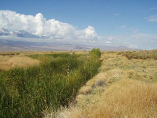 Lower Owens River Project, 2010