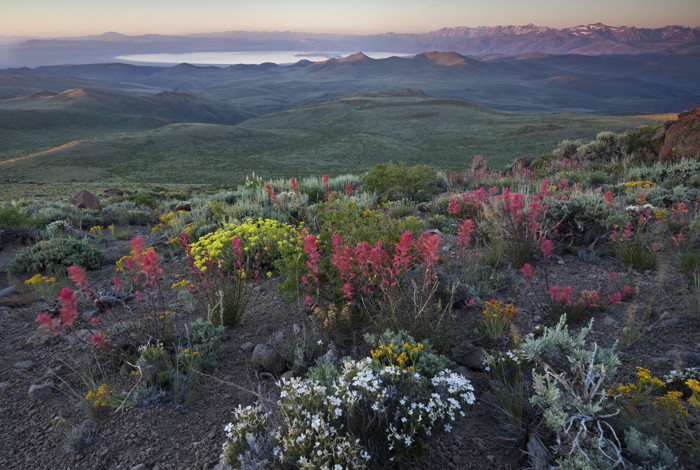 View of Mono Lake from atop Bodie Mountain, photo by Bob Wick