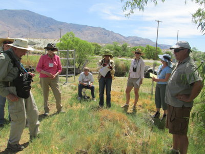 At the Owens River on a Sojourn Field Trip
