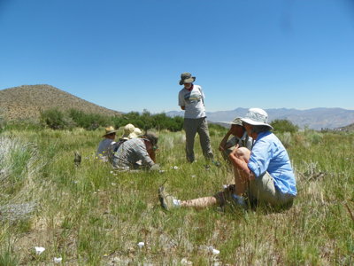Botanists hard at work