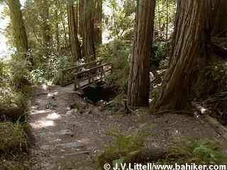 Mt. Tam Trail